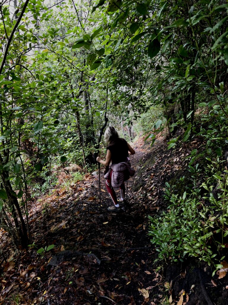 Femme en randonnée sur un sentier forestier à La Palma au cœur d’une végétation dense et sauvage