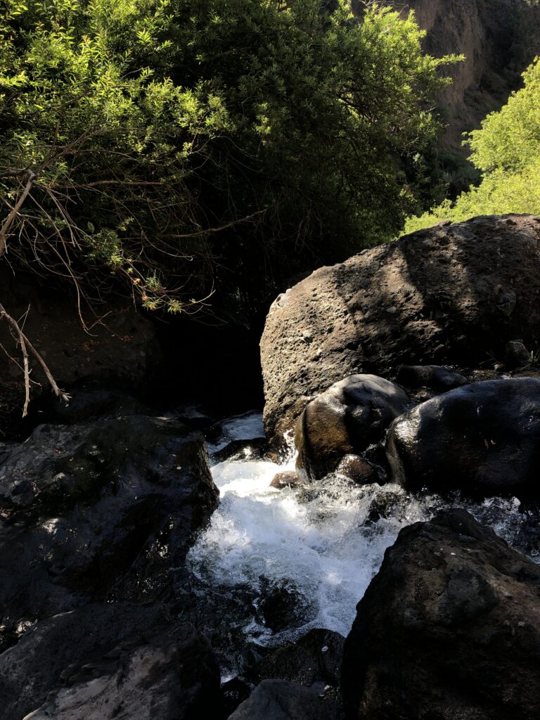 Photo d’une cascade sur l’île de La Palma