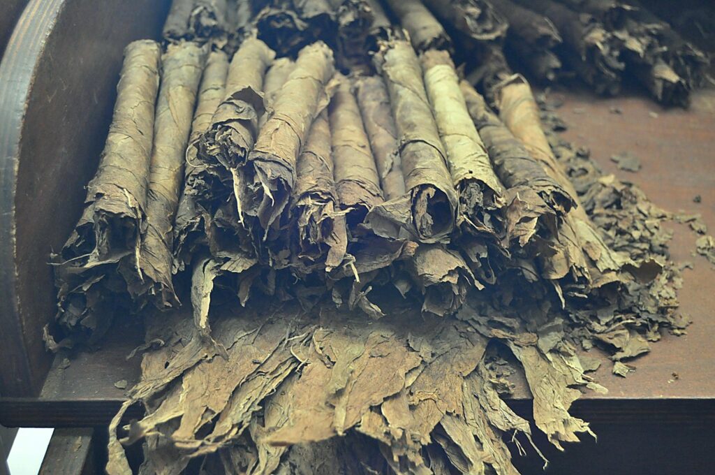 Tabac en cour de fabrication