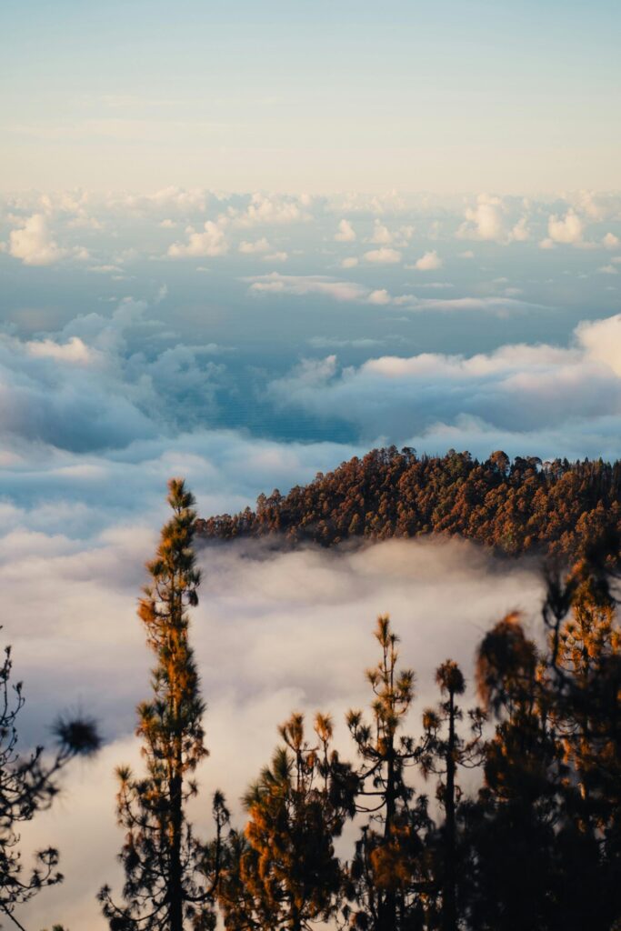 le ciel de la palma