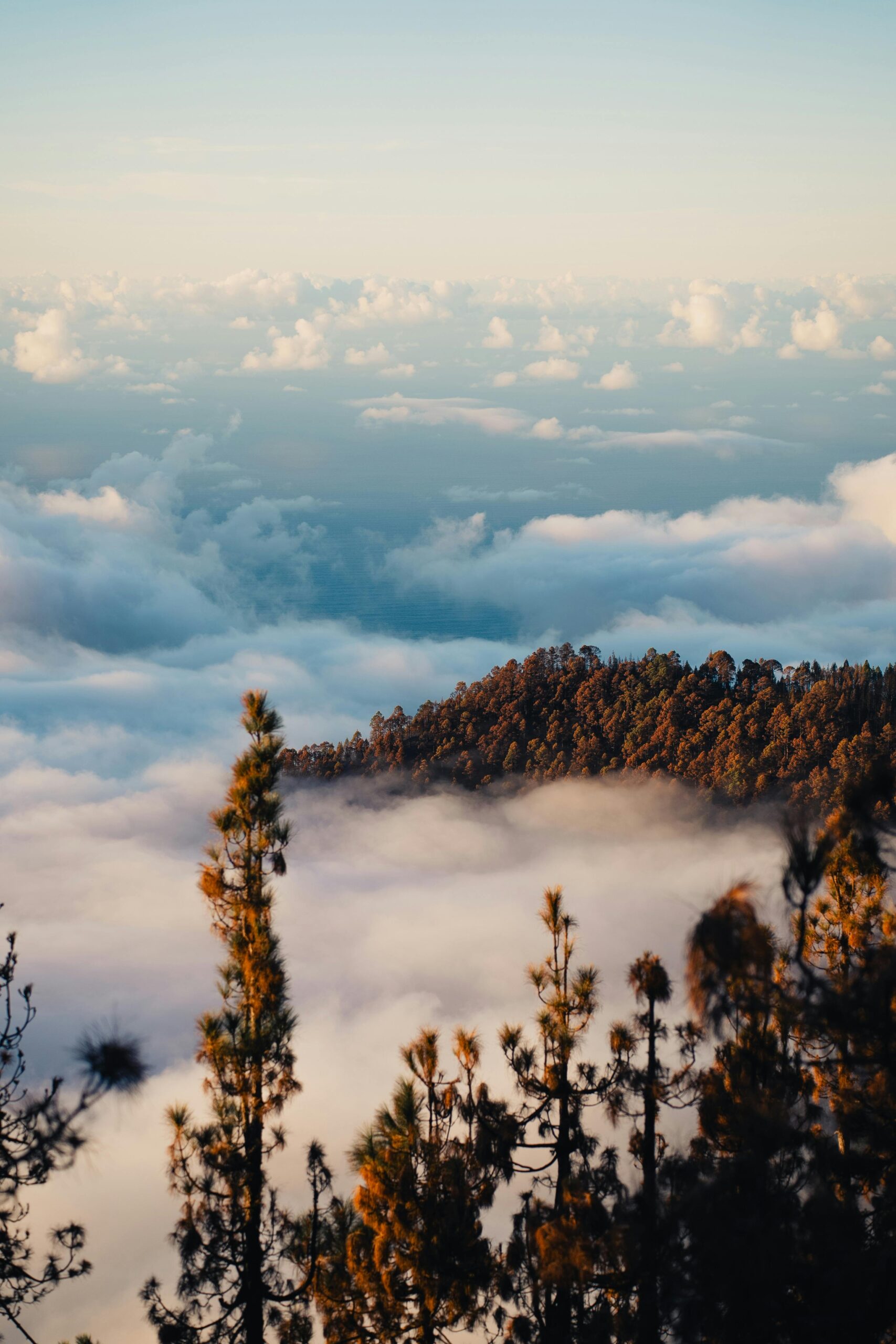 le ciel de la palma